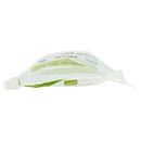 Detergente Piatti Concentrato Green Oasis